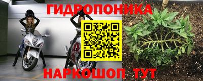 a pvp Рузаевка