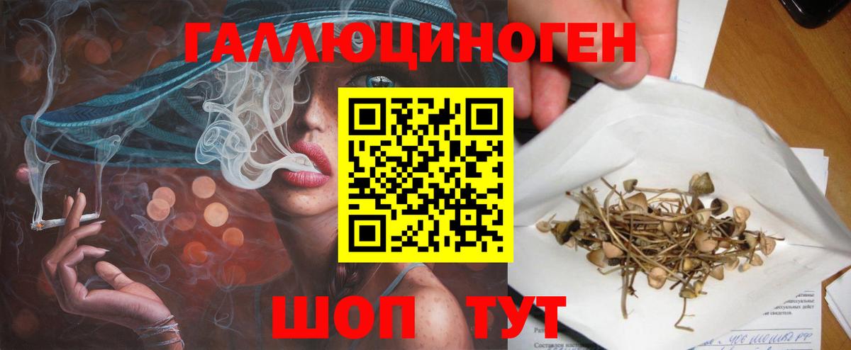 Галлюциногенные грибы прущие грибы Первоуральск