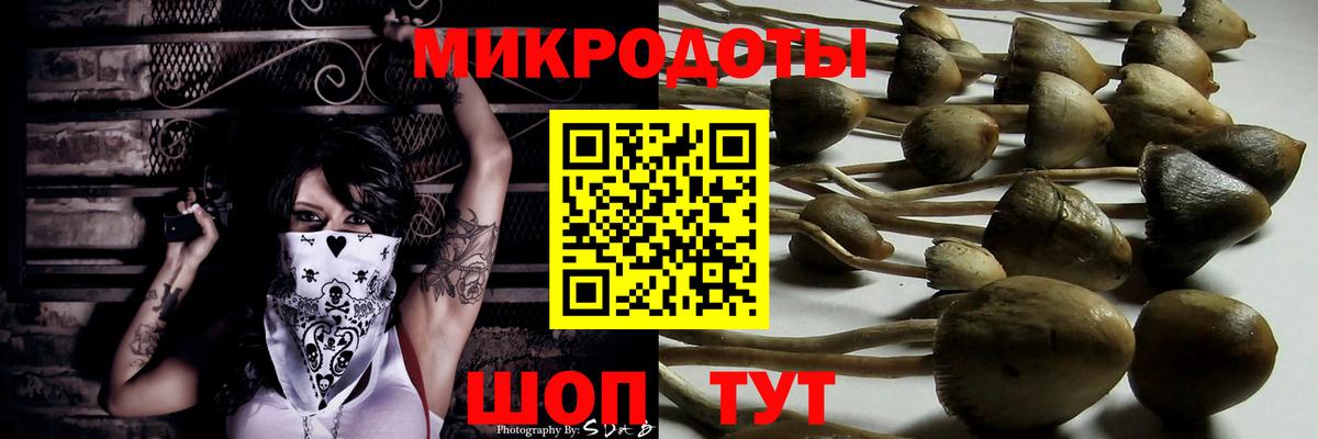 Первоуральск  цены наркотик  Вход с VPN  Галлюциногенные грибы GOLDEN TEACHER 
